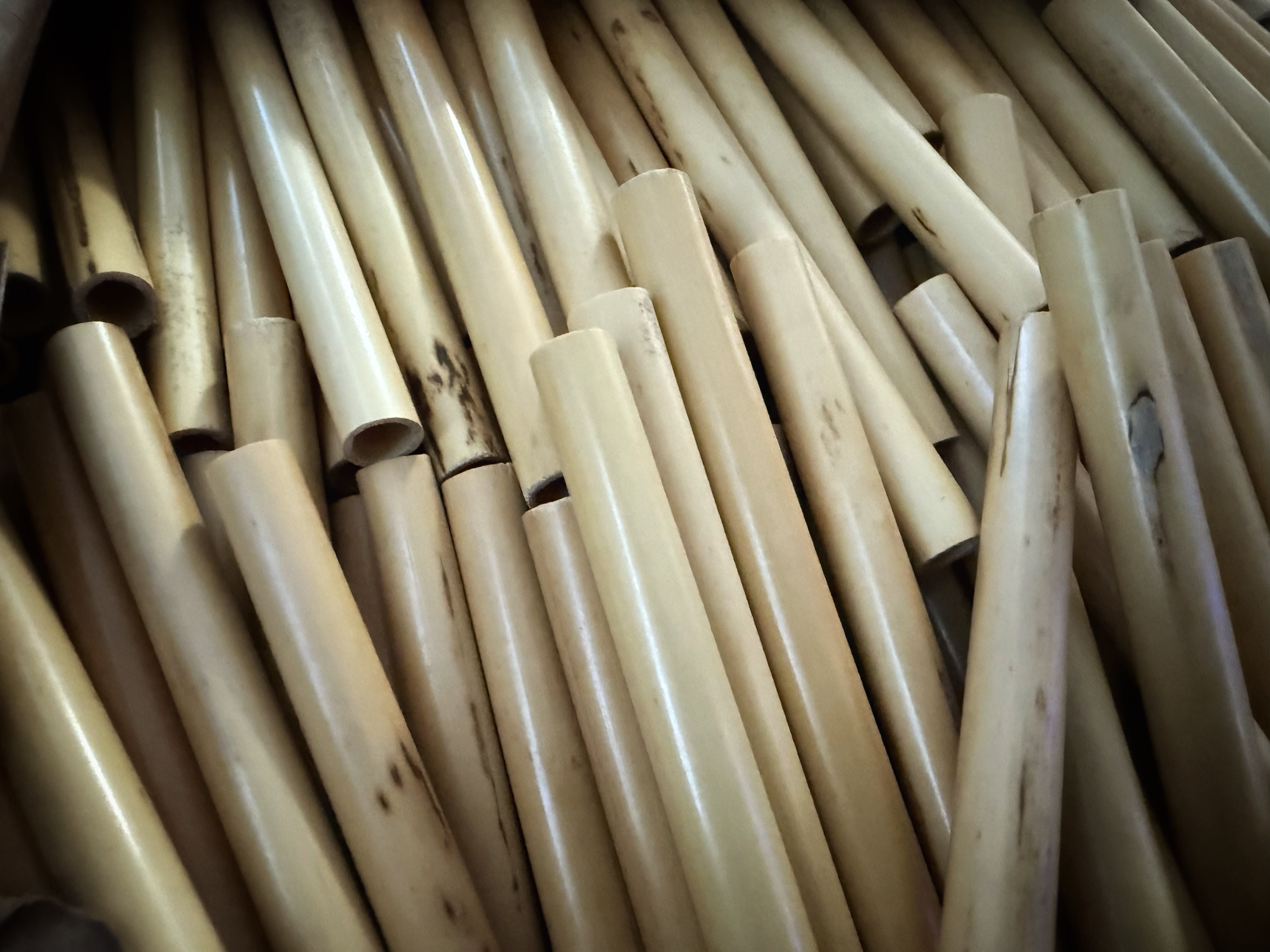 Sharpened Reeds Bondcane Bassoon Tube Cane (1lb) 24-25mm diameter – LC Double Reeds